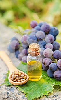 Grape seed oil in a small jar. Selective focus