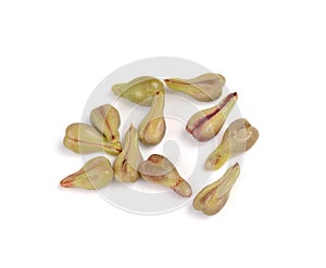 Grape Seed on white background