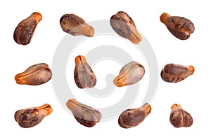 Grape seeds closeup collection