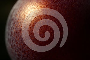 Grape Skin Macro â Surface Texture and Fresh Fruit Concept