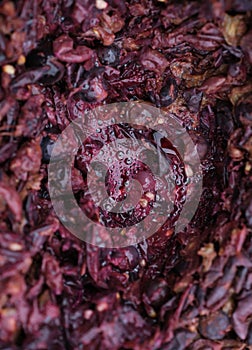 Grape skins and solids. Wine fermentation close up.