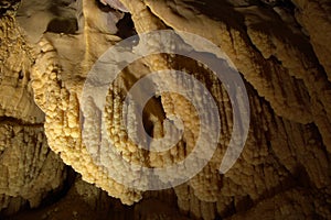 Grape stalagmits in grotto