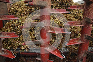 Grape stalks wagon with residues of crushing grapes