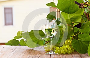 grape and sweet wine in vineyard