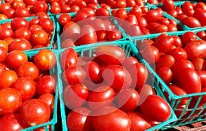 Grape Tomatoes