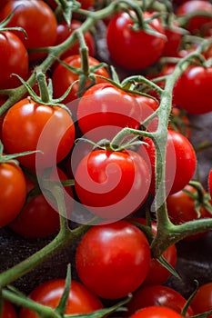 Grape Tomatoes Vine