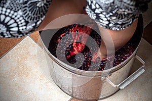 Grape-treading for wine, traditional for home winemaking. Stomping grapes with bare feet.