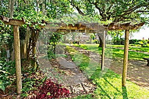 A grape trellis in the garden located on the grounds of the Gonzalez Alvarez House in Historic St. Augustine, Florida