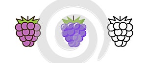 Grape vector bunch logo icon, Wine grape illustration silhouette fruit flat vine leaf berry symbol organic design.
