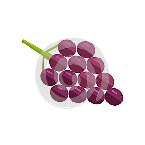 Grape Vector Illustration In Flat Style Design.