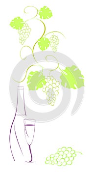 Grape vine and bottle of wine