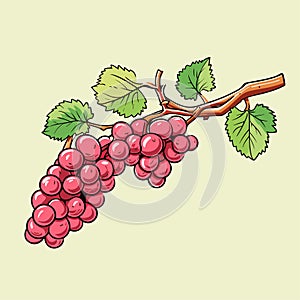Grape vine or grape branch decorative element, vector. Isolated hanging grape twig with green leaves and red berries