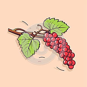 Grape vine or grape branch decorative element, vector. Isolated hanging grape twig with green leaves and red berries