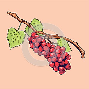 Grape vine or grape branch decorative element, vector. Isolated hanging grape twig with green leaves and red berries