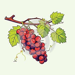 Grape vine or grape branch decorative element, vector. Isolated hanging grape twig with green leaves and red berries