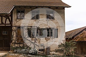 A grape vine growing in front of an old house in the Swiss countryside