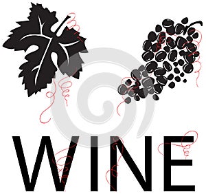 Grape Vine: Leaf, Grapes, & WINE [VECTOR]