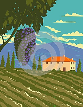 Grape Vine and Vineyard in Tuscany Countryside Central Italy WPA Art Deco Poster