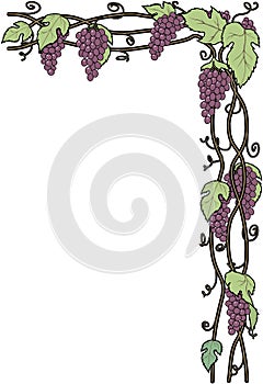 Grape Vines Border Vector Illustration