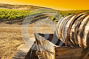 Grape Vineyard with Old Barrel Carriage Wagon