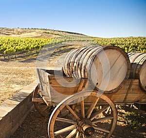 Grape Vineyard with Old Barrel Carriage Wagon