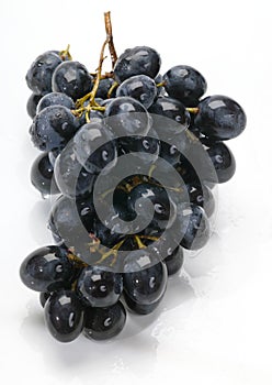Grape with water drops