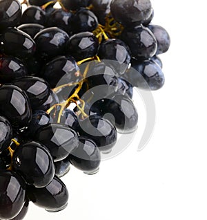 Grape on white background