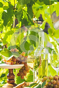 Grape and white wine. Green grape and white wine in vineyard. Bunch of grapes with water drops on the table. Sunny garden with