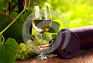 Grape and white wine in vineyard