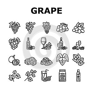 grape wine bunch fruit green icons set vector