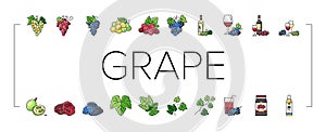 grape wine bunch fruit green icons set vector