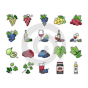 grape wine bunch fruit green icons set vector