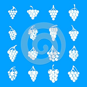 Grape wine bunch icons set, simple style