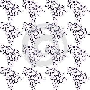 Grape wine seamless pattern