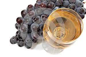 Grape and wineglass II