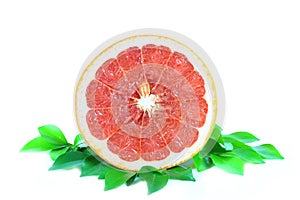 Grapefruit