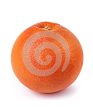 Grapefruit Citrus paradisi