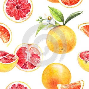 Grapefruit cut hand draw seamless watercolor pattern.
