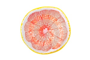 Grapefruit