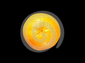 Grapefruit isolated on a black background
