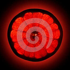 Grapefruit isolated on black background