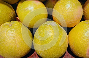 Grapefruit juicy fresh citrusfruit nutritious and beneficial citrus fruit food closeup view image photo