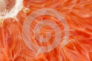 Grapefruit macro