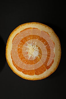 Grapefruit, orange, lemon and lime isolated on a black background.