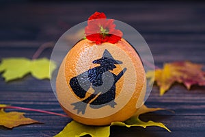 Grapefruit with a painted silhouette of a witch