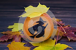 Grapefruit with a painted silhouette of a witch