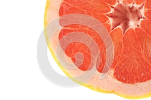 Grapefruit profile on white