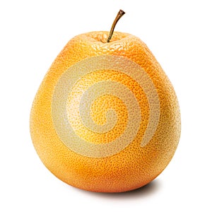 Grapefruit ruby isolated