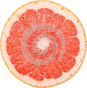 Grapefruit Slice