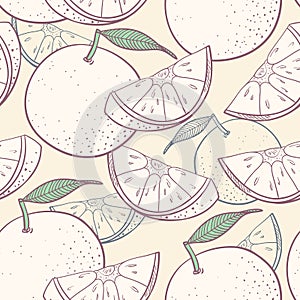 Grapefruit stylized seamless pattern
